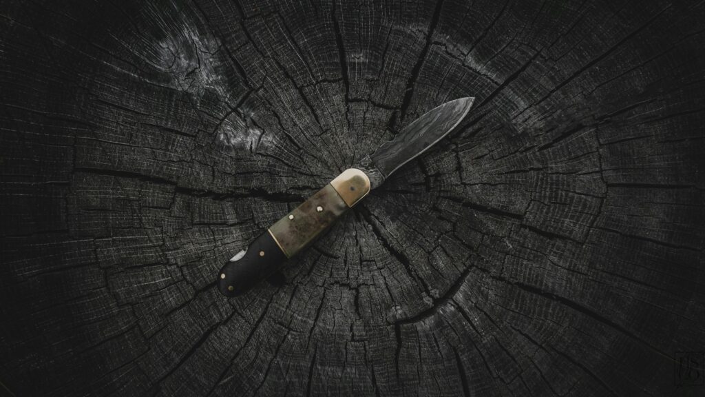 A sharp pocket knife displayed on a rugged, weathered tree stump outdoors.